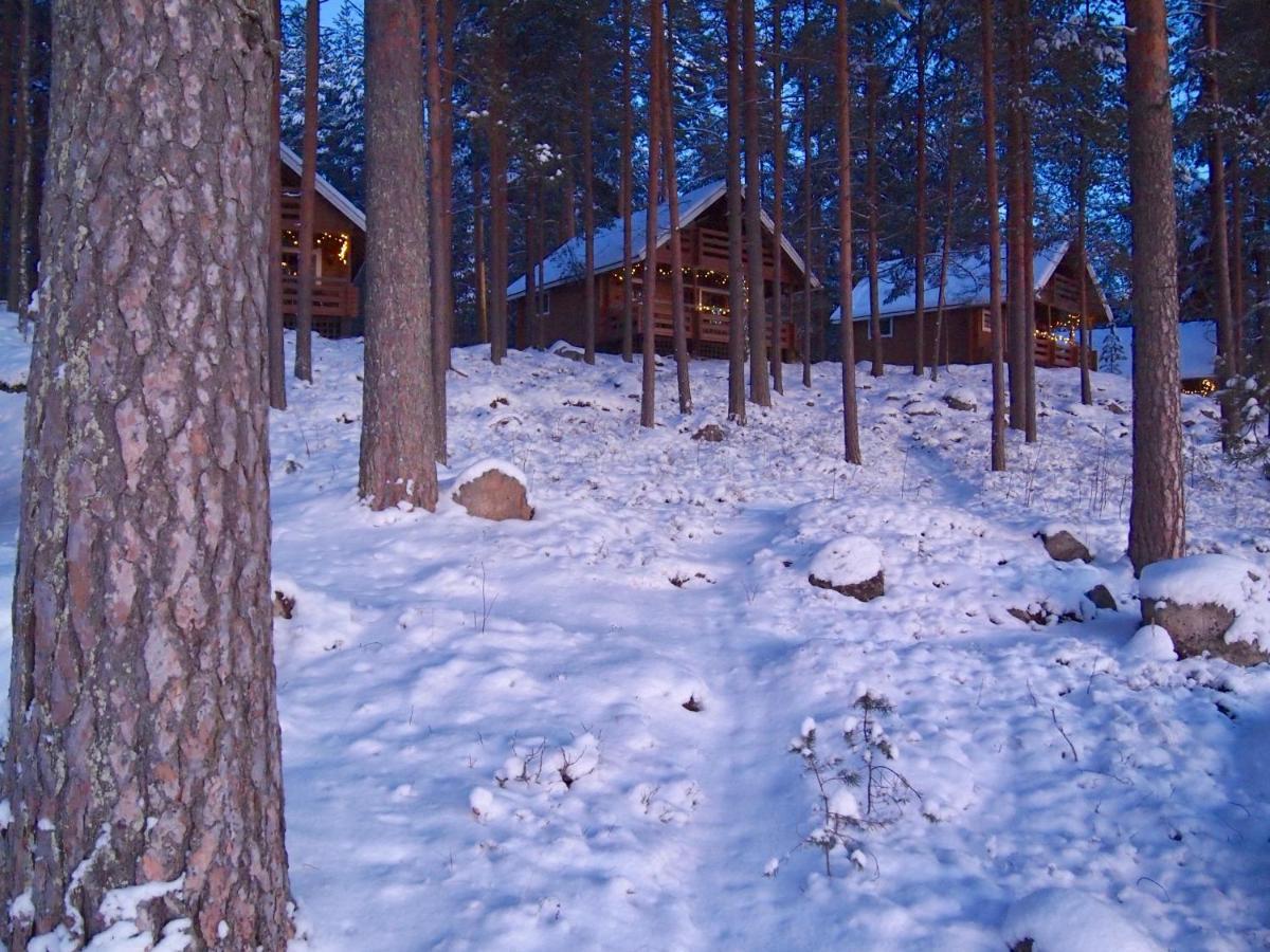 Koskenselaen Lomakylae Villa Puumala Bagian luar foto