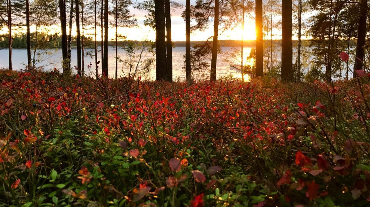Koskenselaen Lomakylae Villa Puumala Bagian luar foto