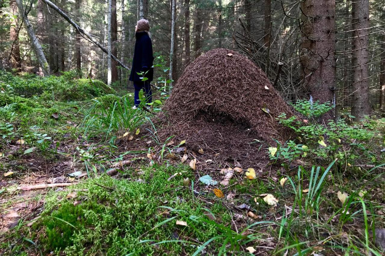 Koskenselaen Lomakylae Villa Puumala Bagian luar foto