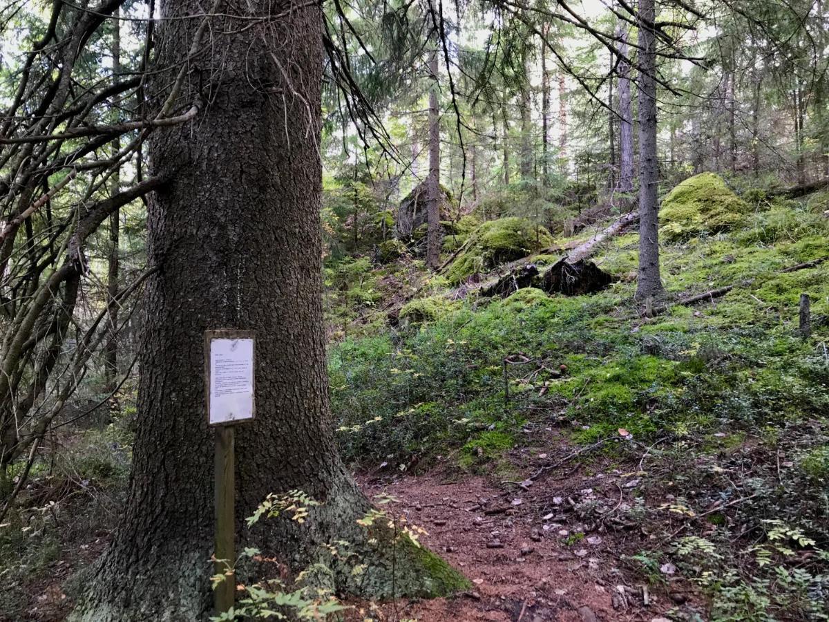 Koskenselaen Lomakylae Villa Puumala Bagian luar foto