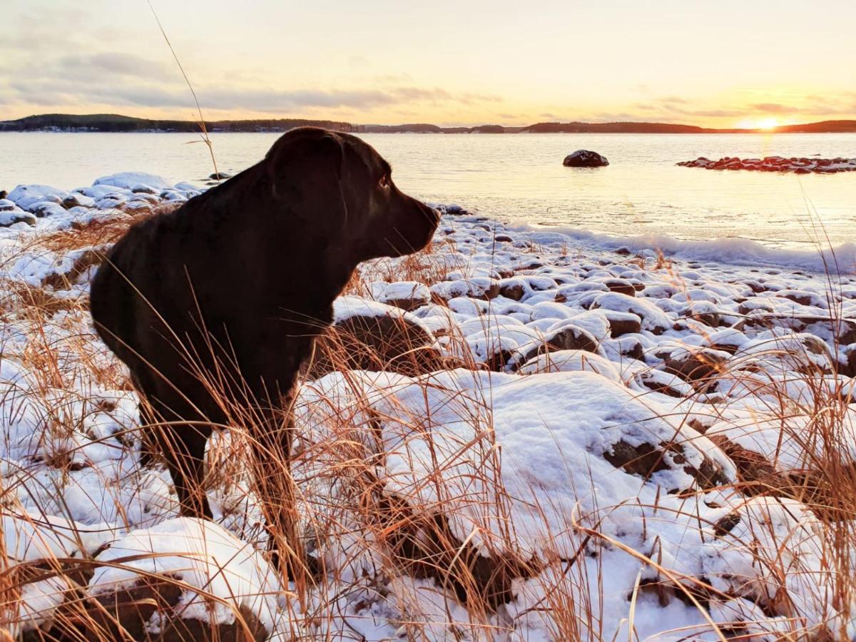 Koskenselaen Lomakylae Villa Puumala Bagian luar foto